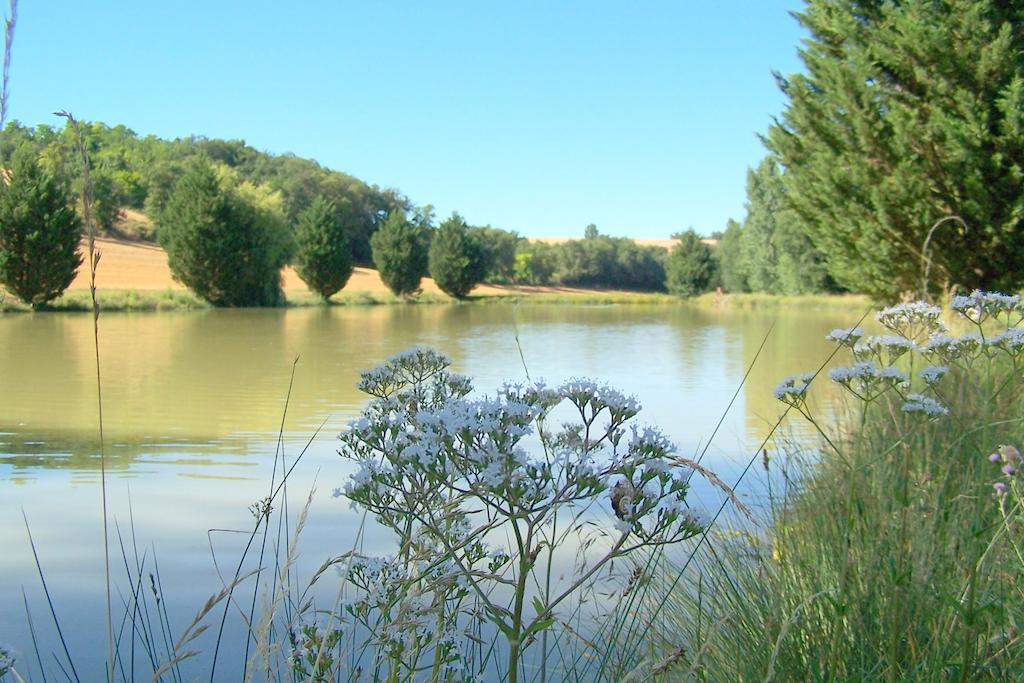 Seysses-Saves Chambre D'Hotes Le Moulin D'Encor מראה חיצוני תמונה